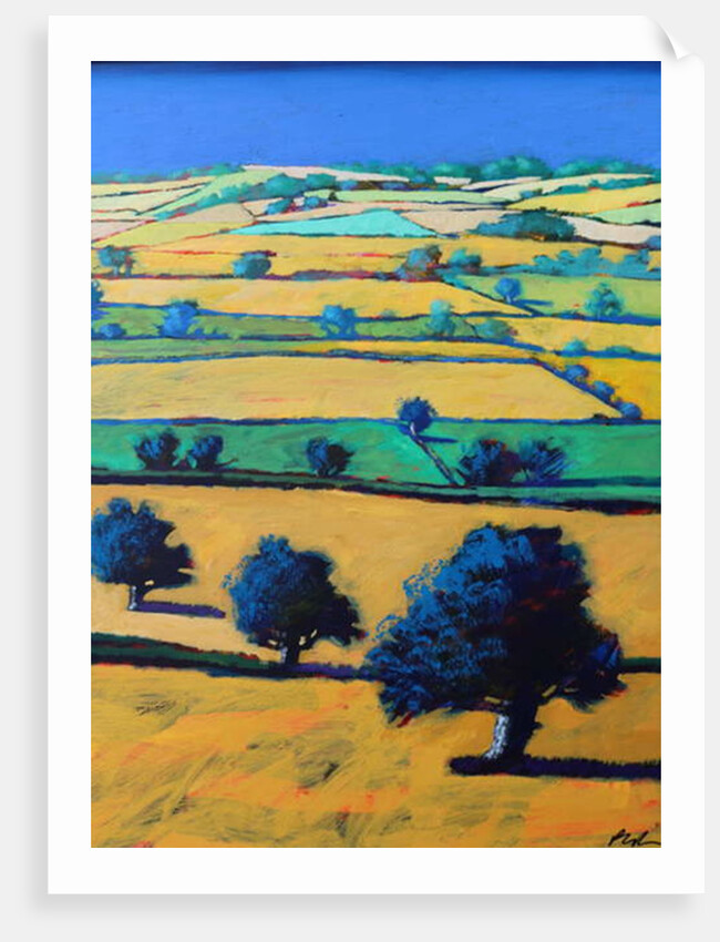 White Cross close up by Paul Powis