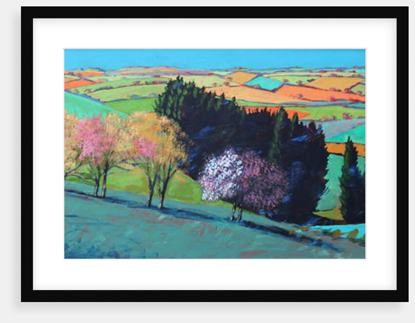 Teme Valley blossom by Paul Powis