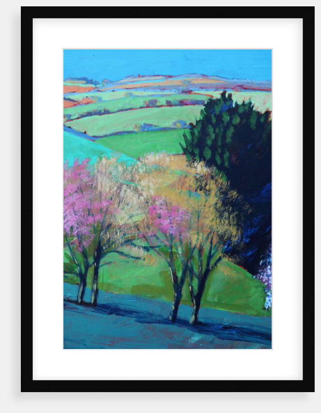 Teme Valley blossom close up 2 by Paul Powis