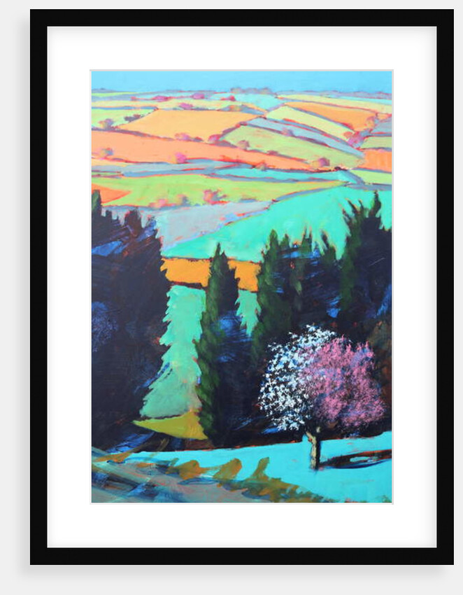 Teme Valley blossom close up by Paul Powis