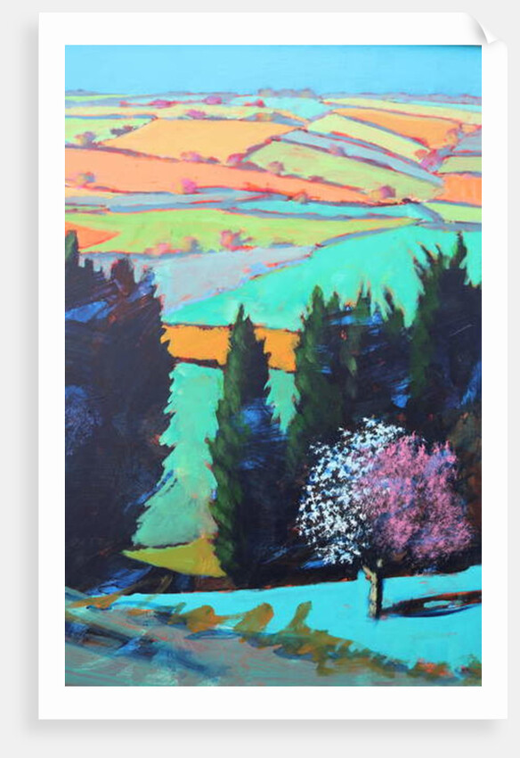 Teme Valley blossom close up by Paul Powis