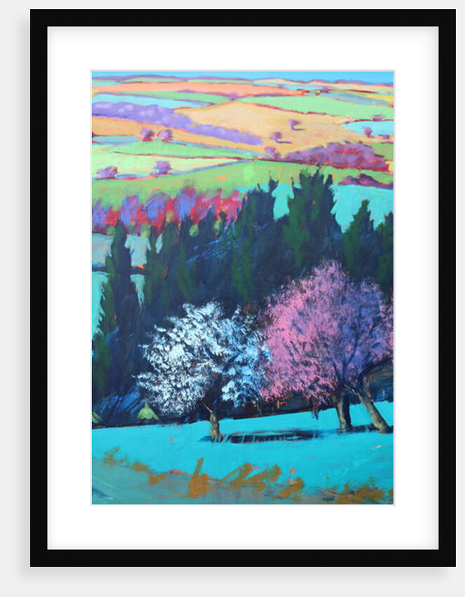 Teme Valley April close up 1 by Paul Powis