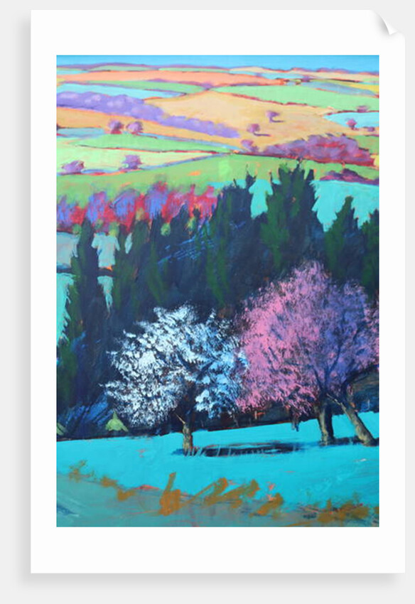 Teme Valley April close up 1 by Paul Powis