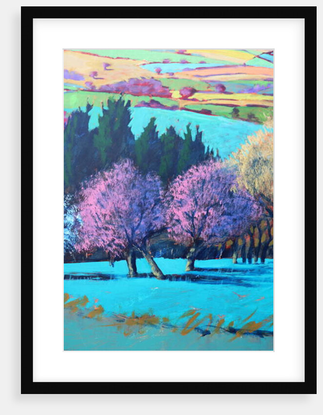 Teme Valley April close up by Paul Powis