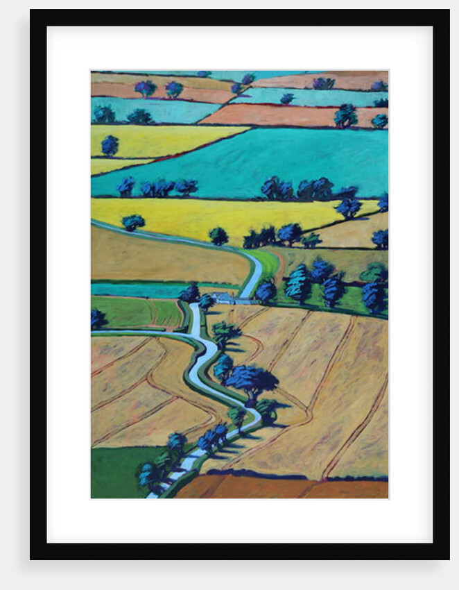 Lane in summer by Paul Powis