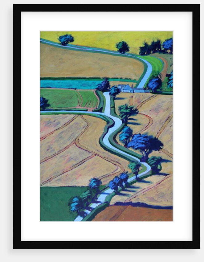 Lane in summer close up by Paul Powis