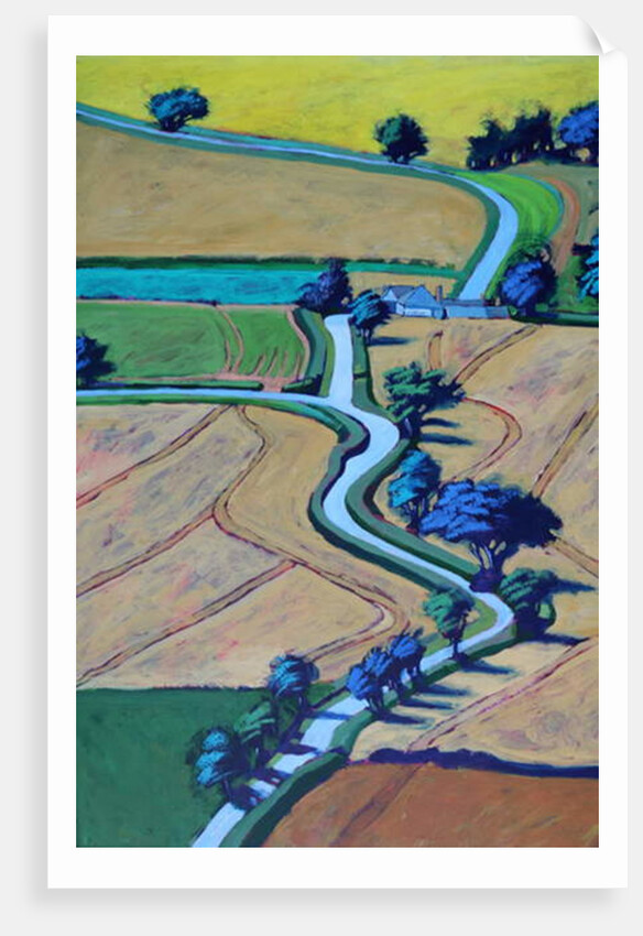 Lane in summer close up by Paul Powis