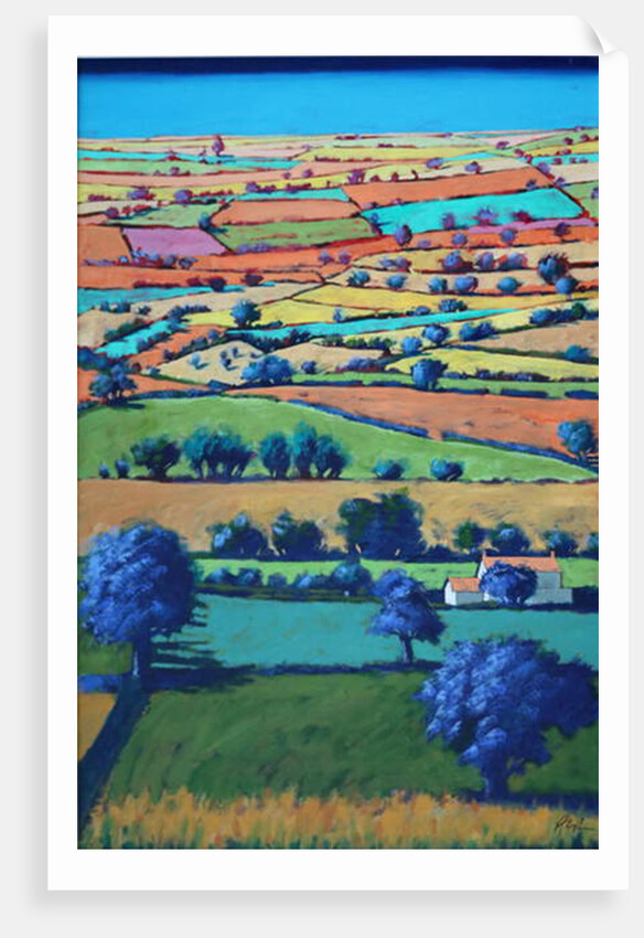 Devon II by Paul Powis