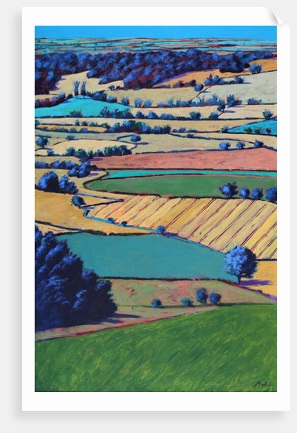 From British Camp by Paul Powis