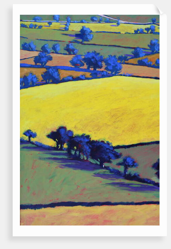 From Ragged Stone close up 2 by Paul Powis