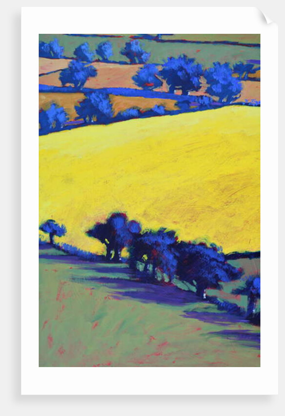 From Ragged Stone close up by Paul Powis