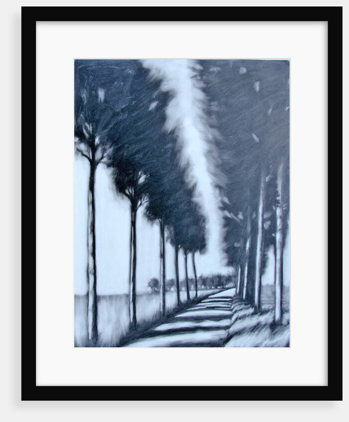 Avenue by Paul Powis