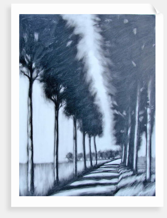 Avenue by Paul Powis