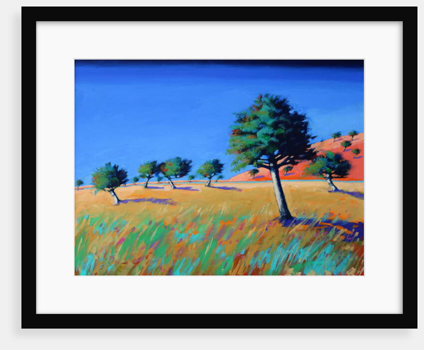 Almond Trees, by Paul Powis