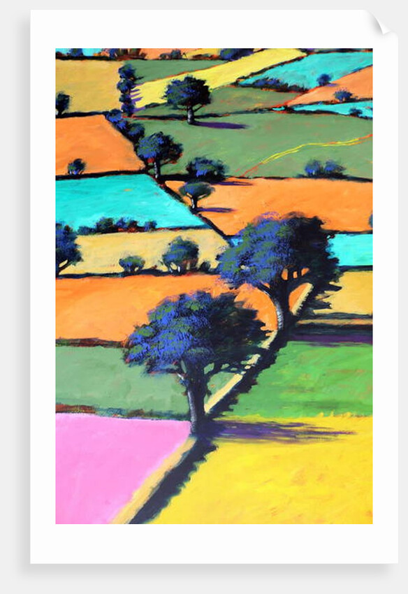 Burcome, 2019 by Paul Powis