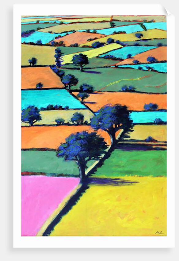 Burcome, 2019 by Paul Powis