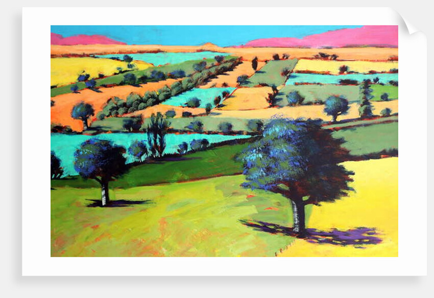 Coombe close up 4, 2019 by Paul Powis