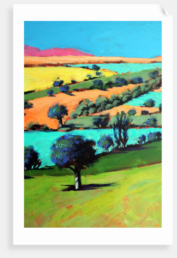 Coombe close up 3, 2019 by Paul Powis