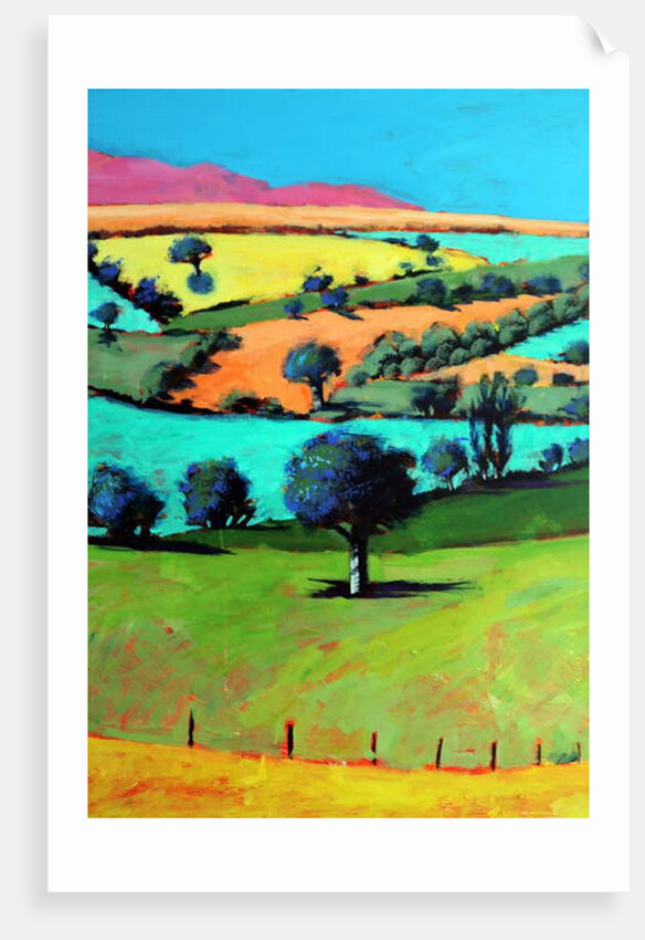 Coombe close up, 2019 by Paul Powis