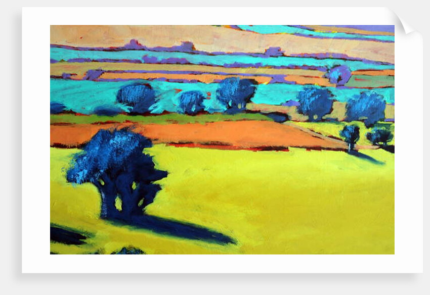 Cotswold Way close up 9, 2019 by Paul Powis