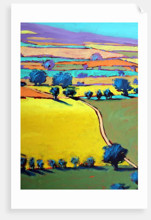 Cotswold Way close up 7, 2019 by Paul Powis