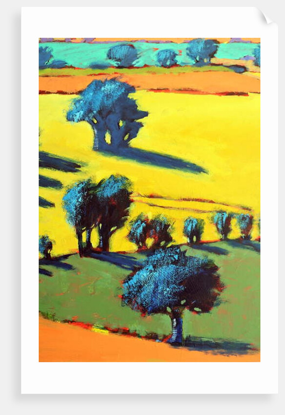 Cotswold Way close up 5, 2019 by Paul Powis