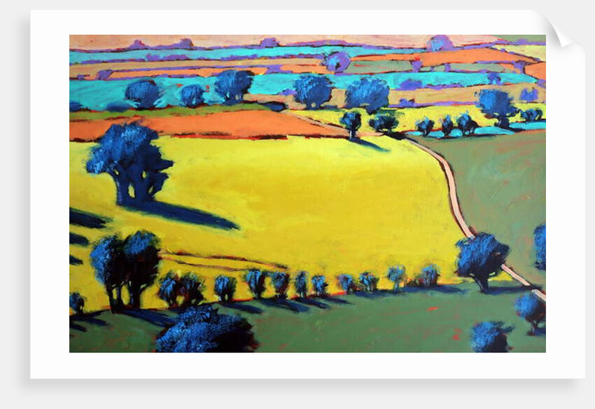 Cotswold Way close up, 2019 by Paul Powis