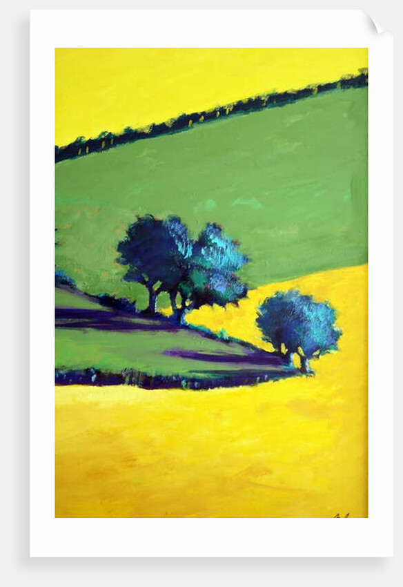 Whiteleaved oak close up 9, 2019 by Paul Powis