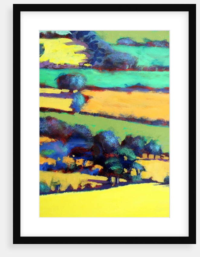 Whiteleaved oak close up 7, 2019 by Paul Powis