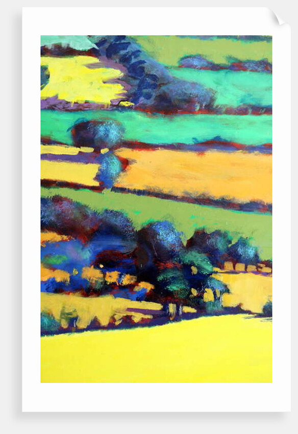 Whiteleaved oak close up 7, 2019 by Paul Powis