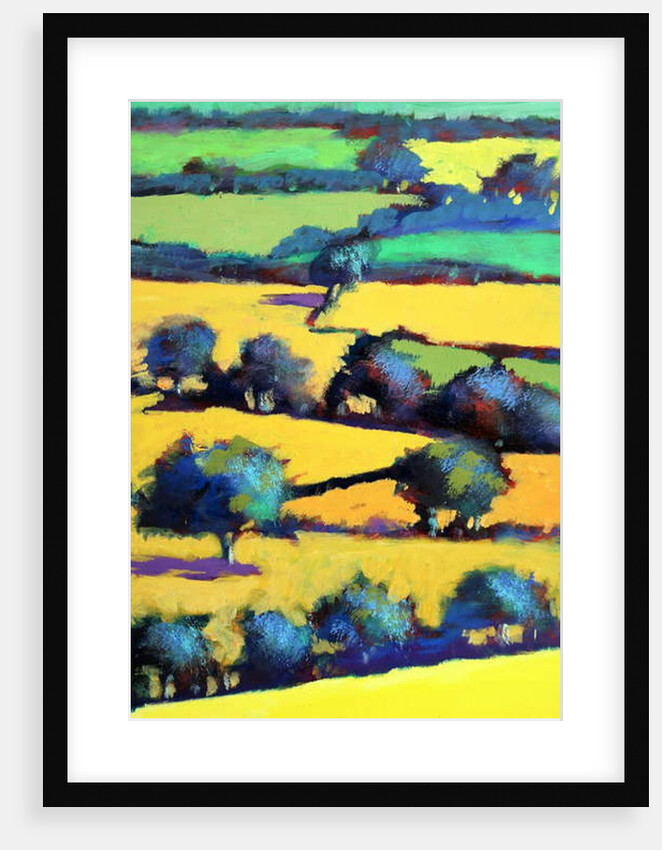 Whiteleaved oak close up 6, 2019 by Paul Powis