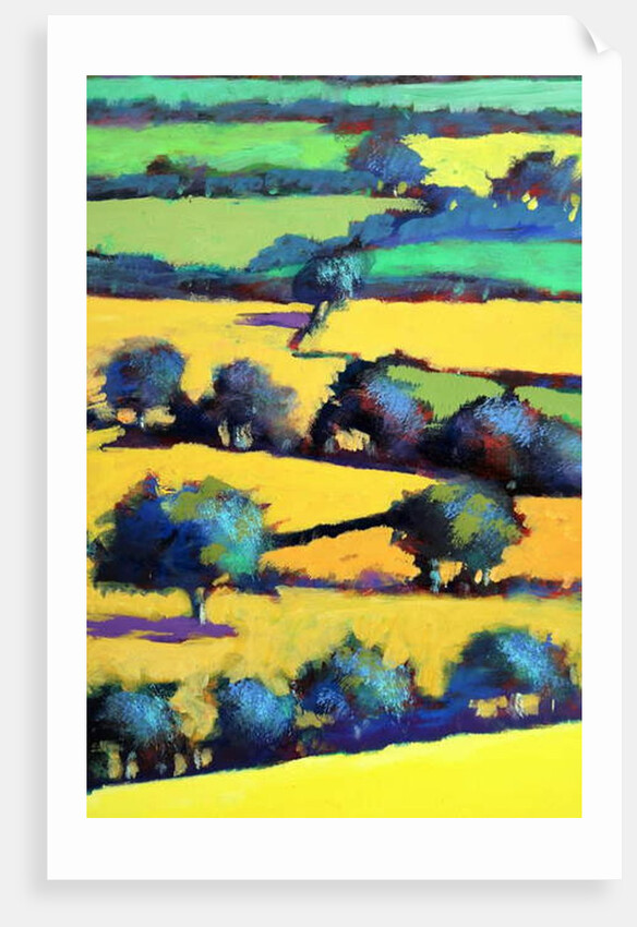 Whiteleaved oak close up 6, 2019 by Paul Powis