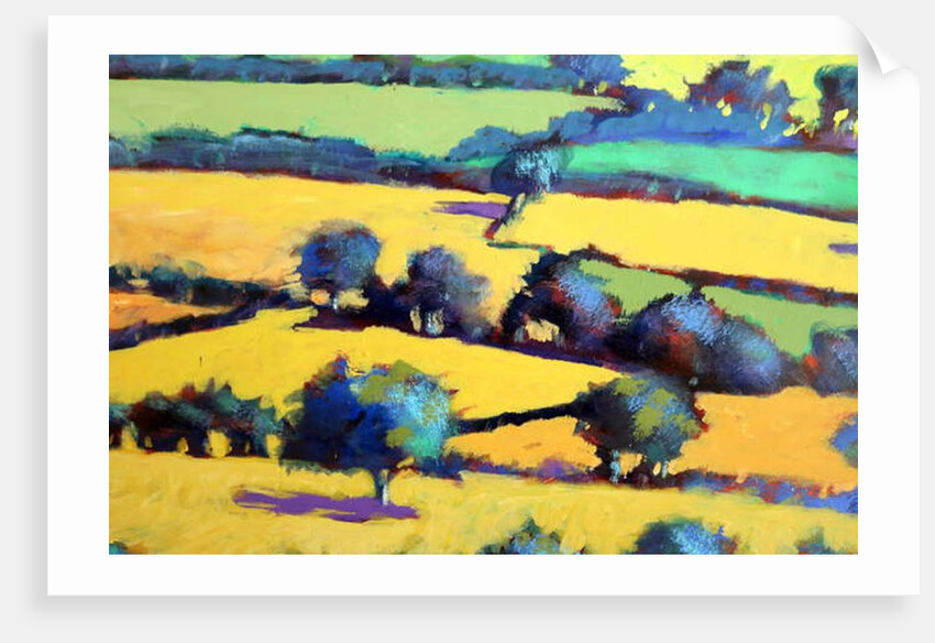 Whiteleaved oak close up 5, 2019 by Paul Powis