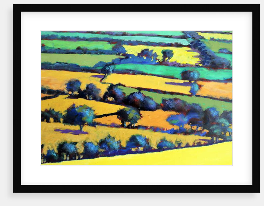 Whiteleaved oak close up 4, 2019 by Paul Powis