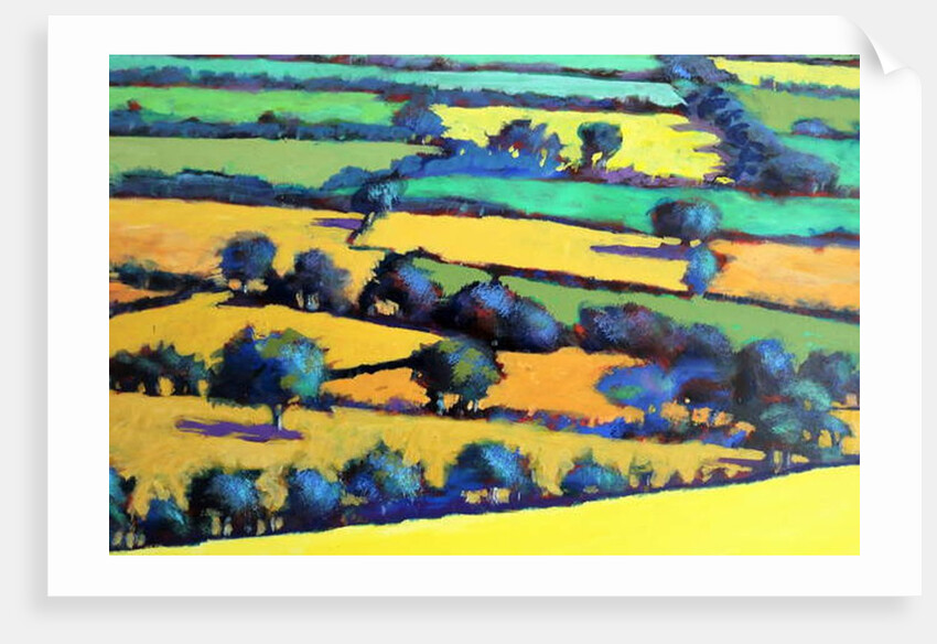 Whiteleaved oak close up 4, 2019 by Paul Powis