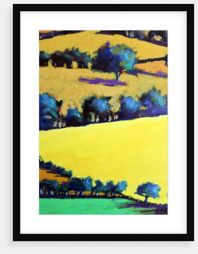 Whiteleaved oak close up 3, 2019 by Paul Powis