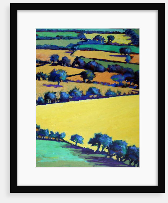 Whiteleaved oak close up 1, 2019 by Paul Powis