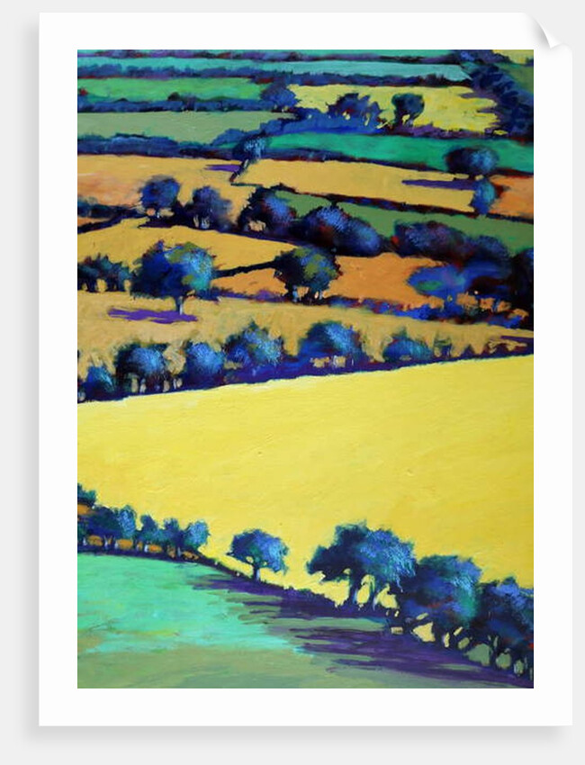 Whiteleaved oak close up 1, 2019 by Paul Powis