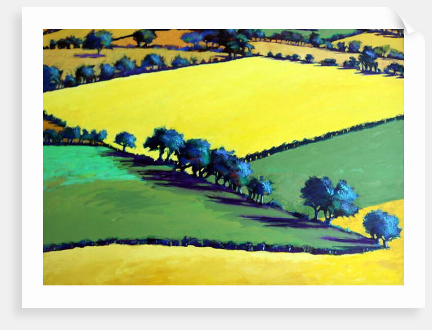 Whiteleaved oak close up, 2019 by Paul Powis