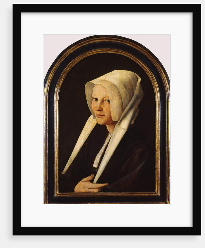 Portrait of Agatha van Schoonhoven, 1529 by Jan van Scorel