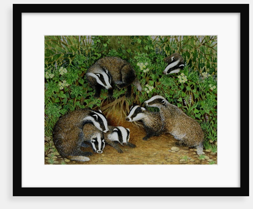 Setting Out by Pat Scott