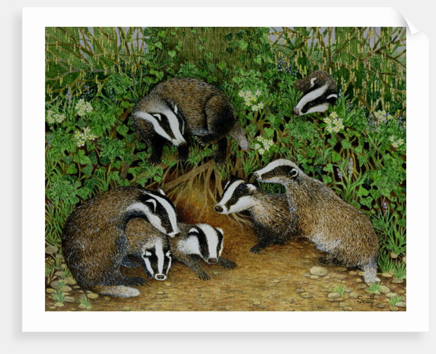 Setting Out by Pat Scott