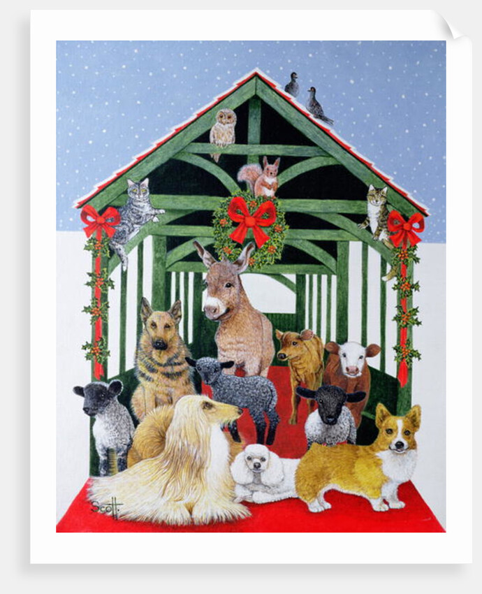 Protected by Pat Scott