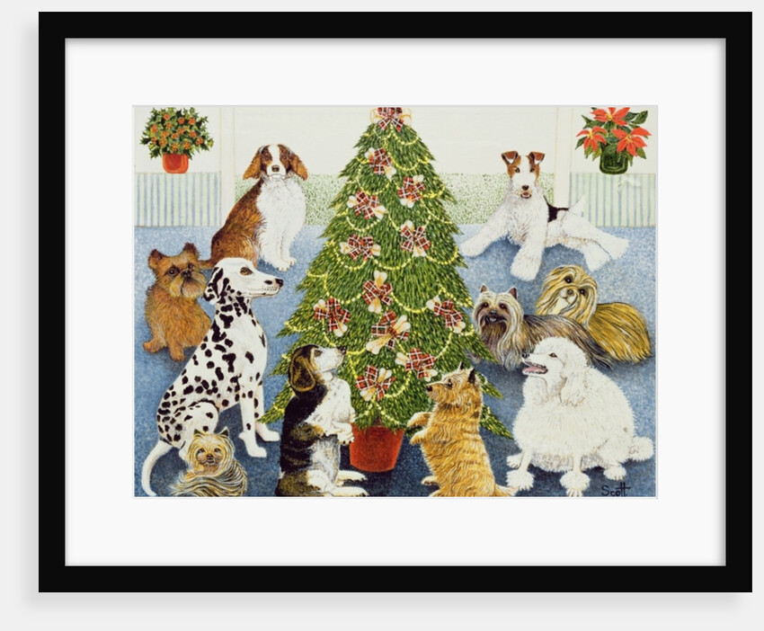 Anticipation by Pat Scott