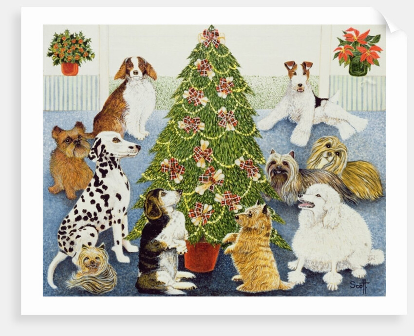 Anticipation by Pat Scott