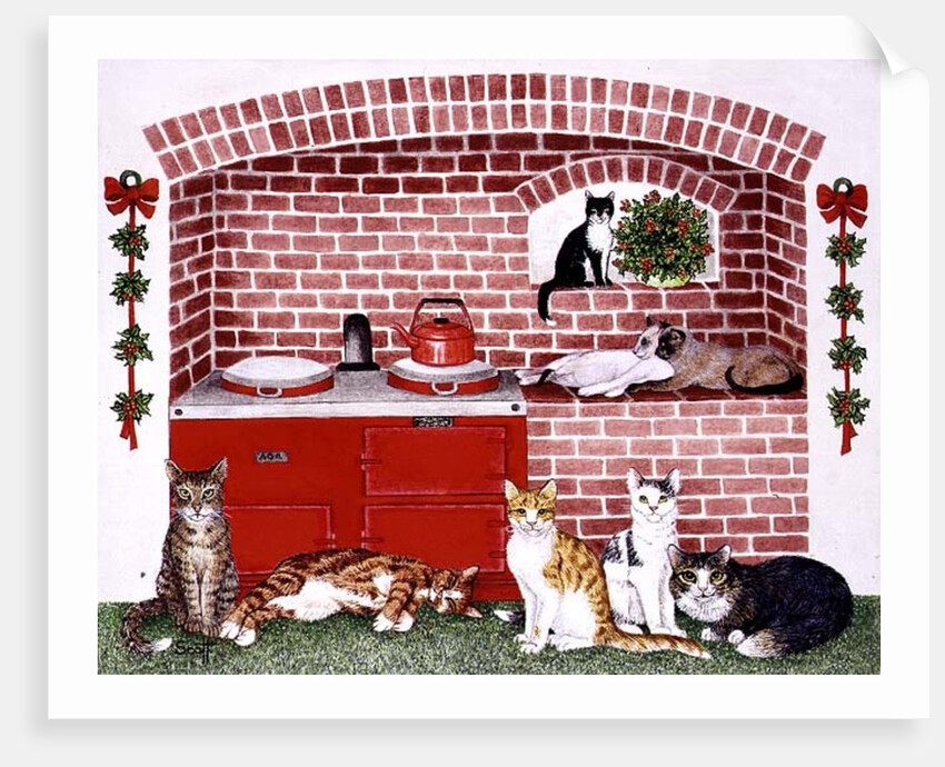 A Warm Place by Pat Scott