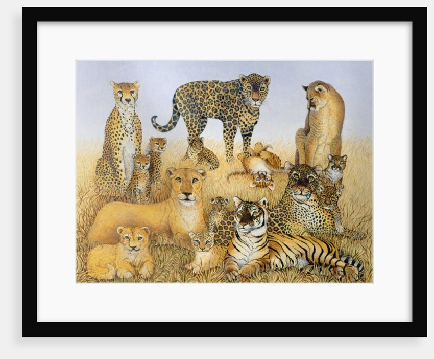The Big Cats by Pat Scott