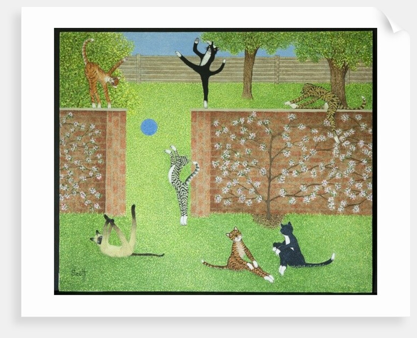 Keeping on ones toes by Pat Scott