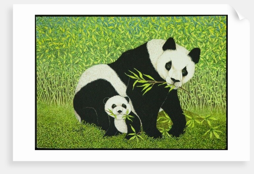 The good times by Pat Scott