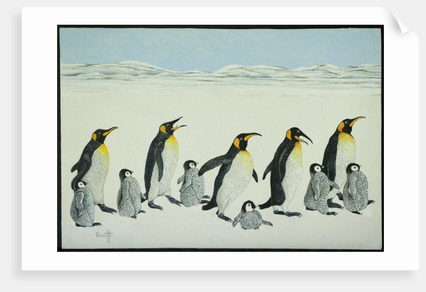 The learning curve by Pat Scott